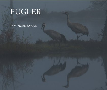 FUGLER book cover