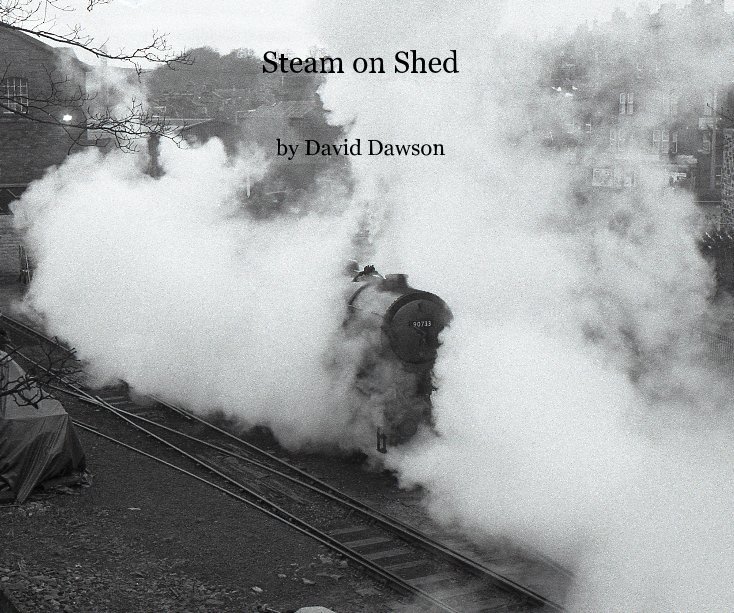 View Steam on Shed by David Dawson