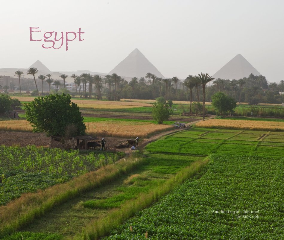 Ver Egypt por Another trip of a lifetime! by Jan Cobb