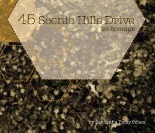 45 Scenic Hills Drive book cover