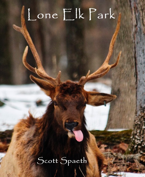 View Lone Elk Park by Bryan Spaeth