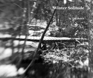 Winter Solitude book cover