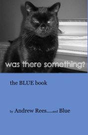 the BLUE book book cover