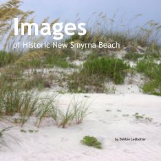 Images        of Historic New Smyrna Beach book cover