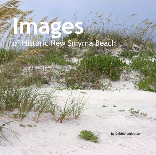 View Images        of Historic New Smyrna Beach by Debbie Ledbetter