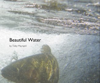 Beautiful Water book cover