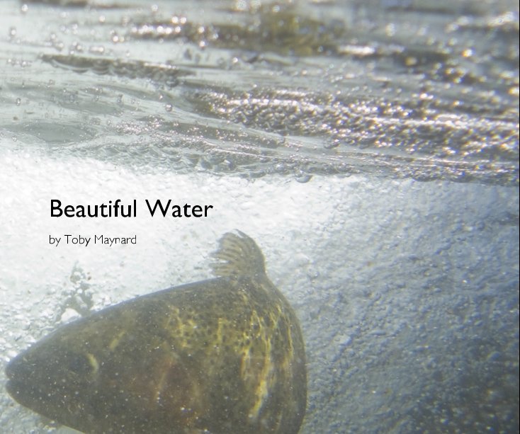Ver Beautiful Water por by Toby Maynard