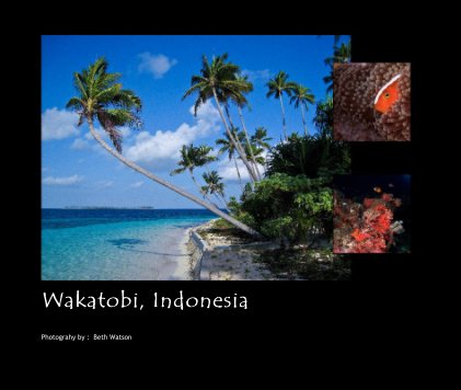 Wakatobi, Indonesia book cover