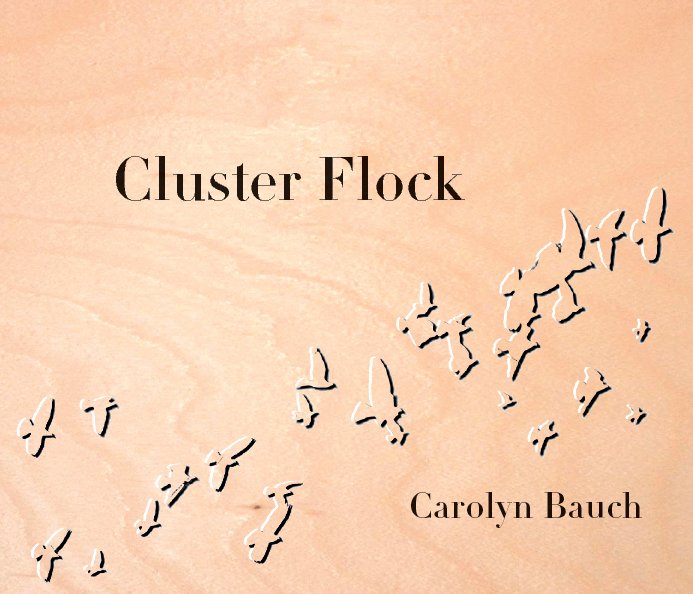 View Cluster Flock by Carolyn Bauch