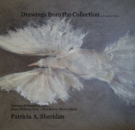 Ver Drawings from the Collection ........... por Patricia A. Sheridan, Artist