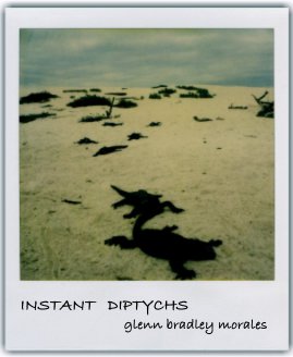 Instant Diptychs book cover