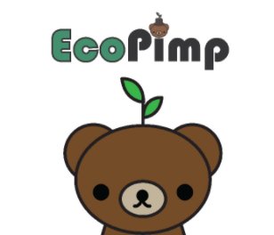 EcoPimp Process Book book cover