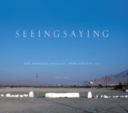 seeingsaying book cover