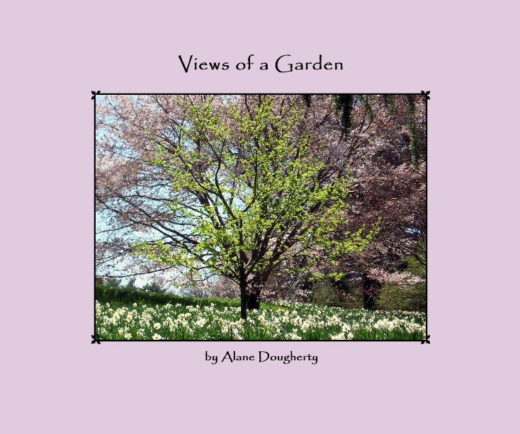 View Views of a Garden by Alane Dougherty