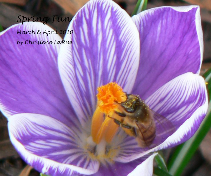 View Spring Fun by Christene LaRue