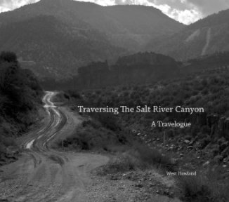 Traversing The Salt River book cover
