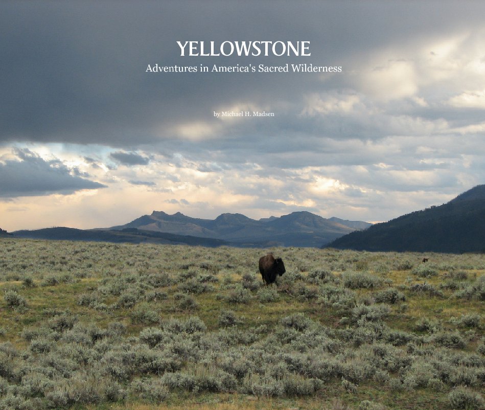 View YELLOWSTONE by Michael H. Madsen