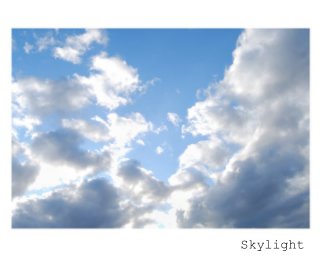 Skylight book cover