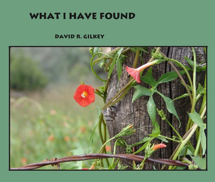 View What I Have Found by David R. Gilkey