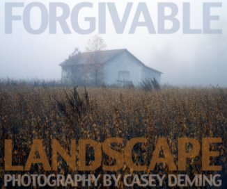 Forgivable Landscape book cover