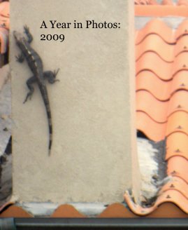 A Year in Photos: 2009 book cover