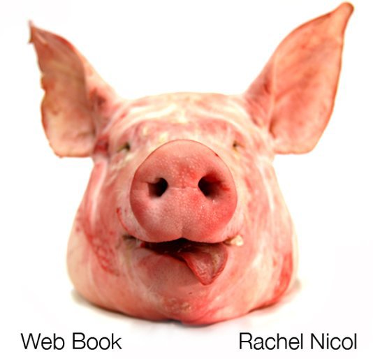 View Web Book by Rachel Nicol