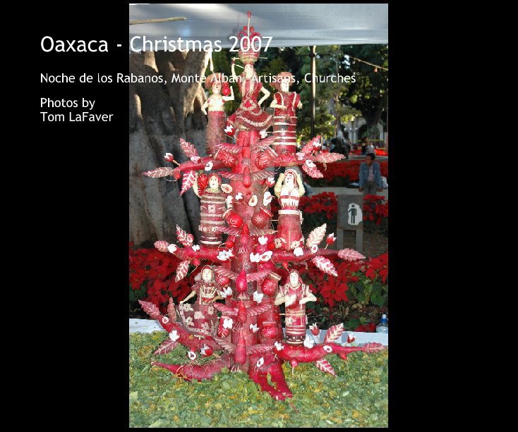 Visualizza Oaxaca - Christmas 2007 di Photos by
Tom LaFaver