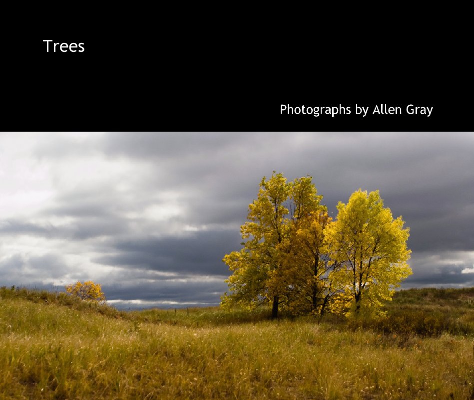 View Trees by Photographs by Allen Gray