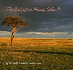 The Best of an African Safari II book cover