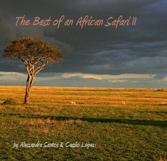 Ver The Best of an African Safari II por Alessandra Santos & Cassio Lopes