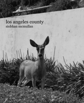 los angeles county book cover