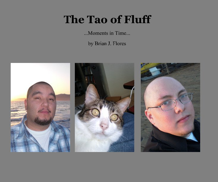 View The Tao of Fluff by Brian J. Flores