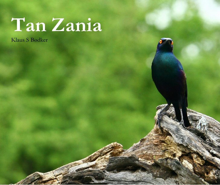 View Tan Zania by Klaus Boedker