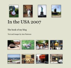 In the USA 2007 book cover