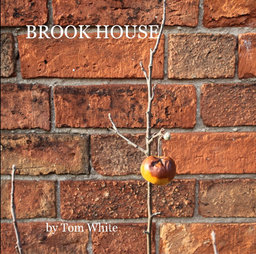 View BROOK HOUSE by Tom White