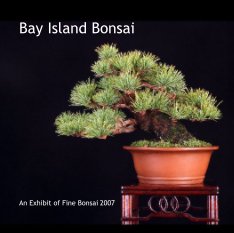 Bay Island Bonsai book cover