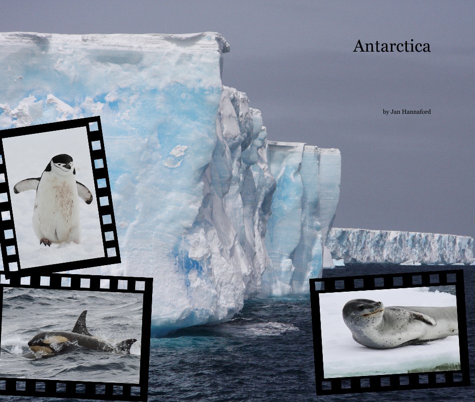 View Antarctica by Jan Hannaford
