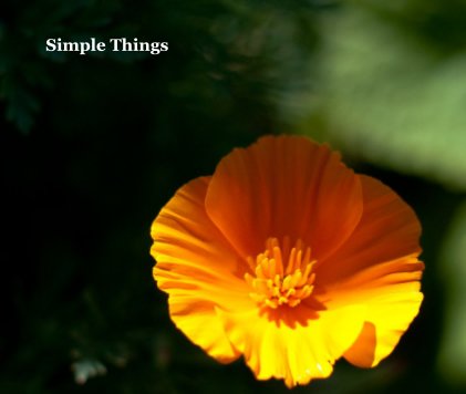 Simple Things book cover