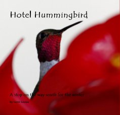 Hotel Hummingbird book cover