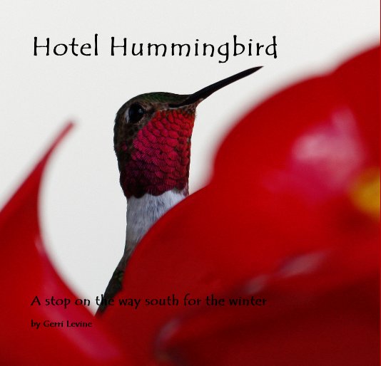 View Hotel Hummingbird by Gerri Levine