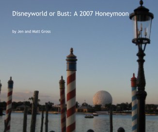 Disneyworld or Bust: A 2007 Honeymoon book cover