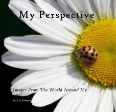 My Perspective book cover