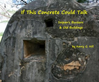 If This Concrete Could Talk book cover