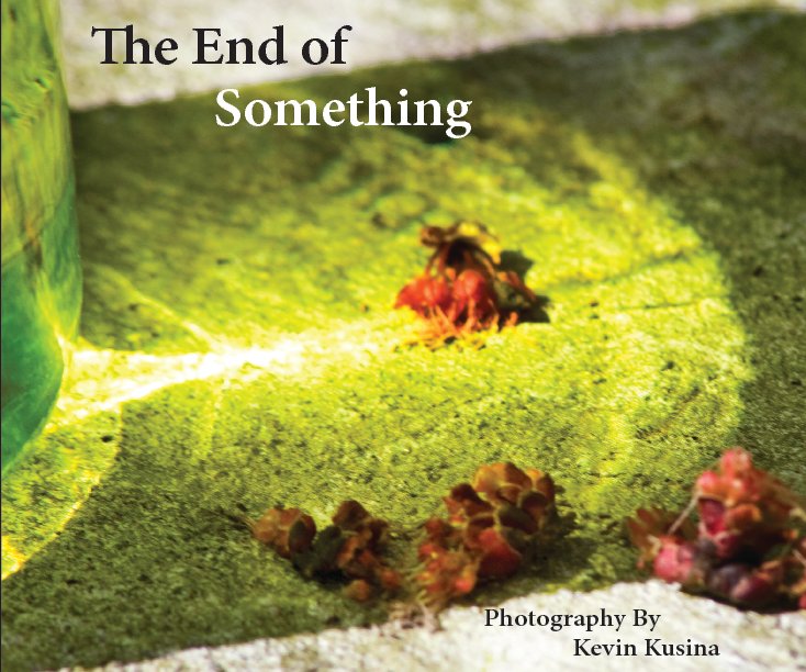 View The End of Something by Kevin Kusina