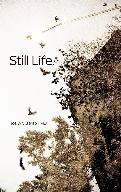 Still Life. nach Jos. A. Vitterito II MD anzeigen