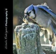 Ursula Rodrigues Photography II book cover