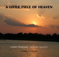 A Little Piece of Heaven book cover