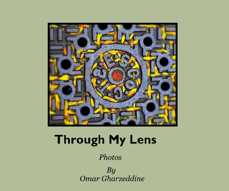 View Through My Lens by Omar Gharzeddine