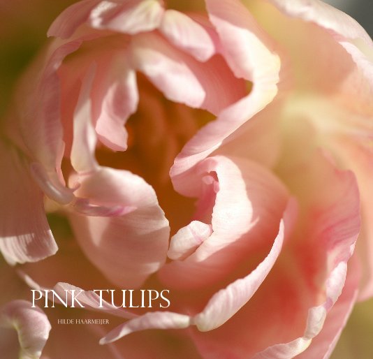 Ver Pink Tulips por Hilde Haarmeijer