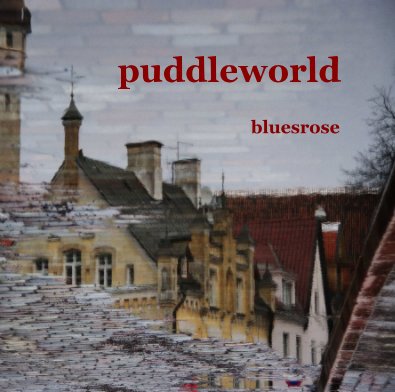 puddleworld book cover
